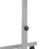 Table mobile de présentation celexon PT1010G pour vidéoprojecteur, à 1 plateau - Gris