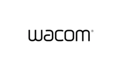 Wacom Adaptateur USB (type A vers C, OTG)